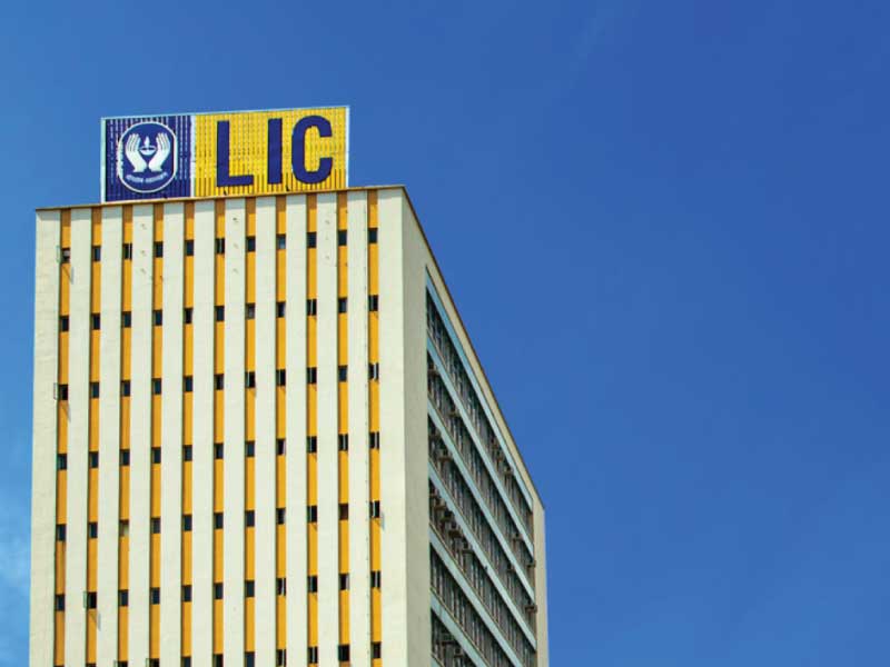 LIC IPO would be merely a large domestic offering for domestic investors